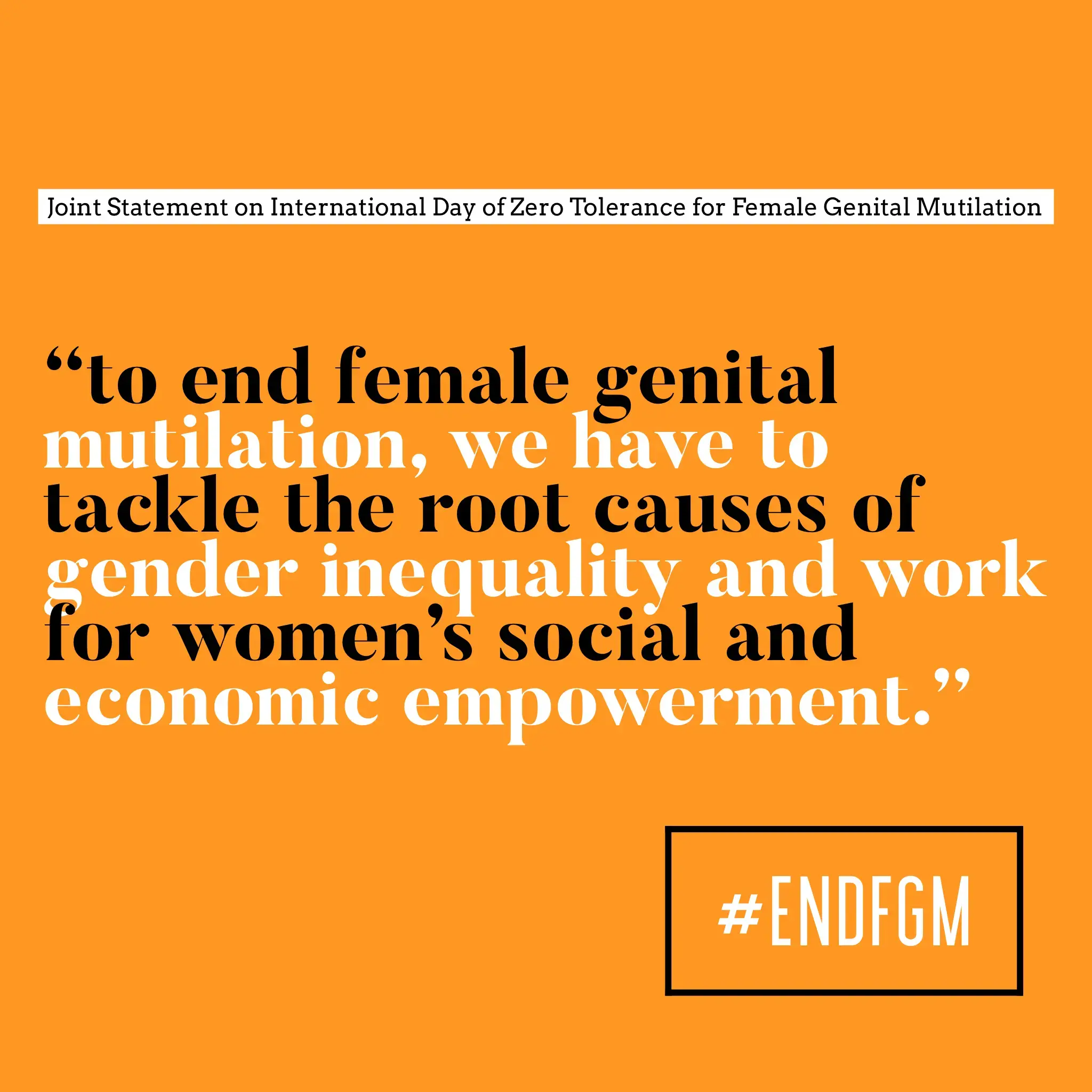 UNFPA, UNICEF and UN Women Joint Statement on the International Day of Zero Tolerance for FGM 2019