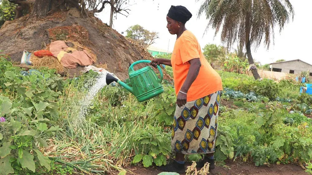 Women farming in Kubandar: land disputes, climate crisis and inequality